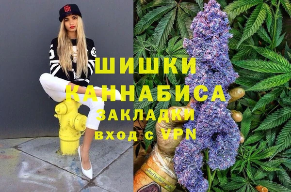 дурь Надым