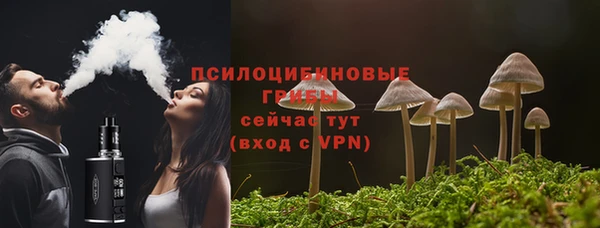 дурь Надым