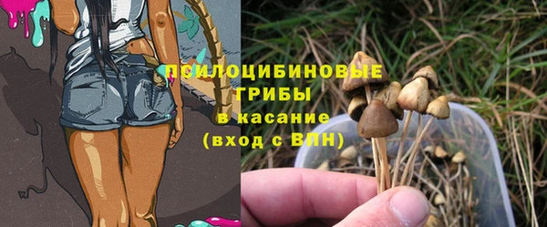 дурь Надым