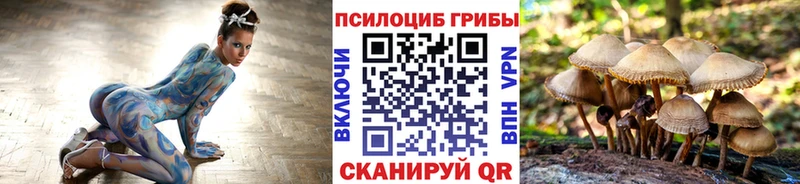 Псилоцибиновые грибы Psilocybe  Купить закладки  Алзамай 