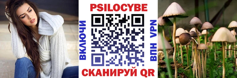 Галлюциногенные грибы Psilocybe Алзамай