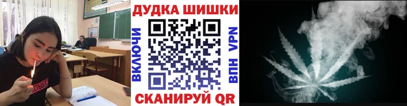 Конопля индика  Купить где  Алзамай 
